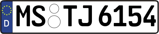MS-TJ6154