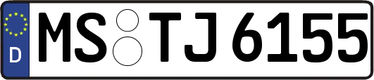 MS-TJ6155