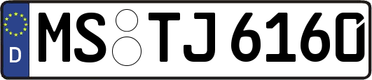 MS-TJ6160
