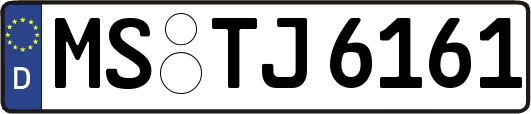 MS-TJ6161