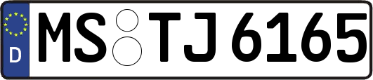 MS-TJ6165