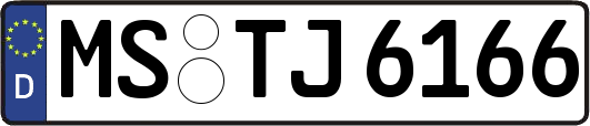 MS-TJ6166