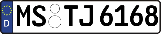 MS-TJ6168