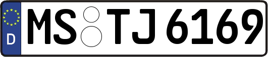 MS-TJ6169