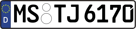 MS-TJ6170