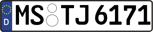MS-TJ6171