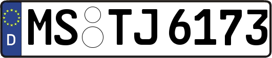 MS-TJ6173