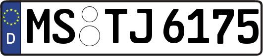 MS-TJ6175