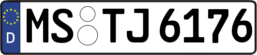 MS-TJ6176