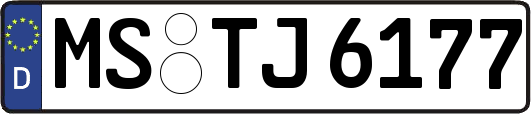 MS-TJ6177
