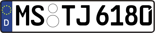 MS-TJ6180