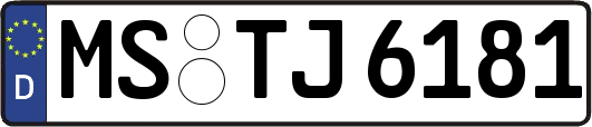 MS-TJ6181