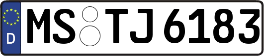 MS-TJ6183
