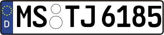MS-TJ6185