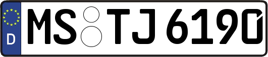 MS-TJ6190