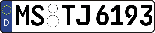 MS-TJ6193