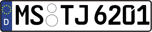 MS-TJ6201