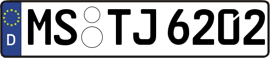 MS-TJ6202