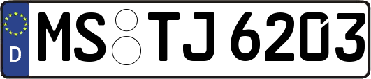 MS-TJ6203