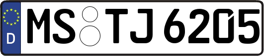 MS-TJ6205