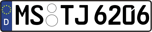 MS-TJ6206