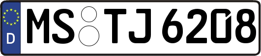 MS-TJ6208