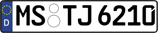 MS-TJ6210