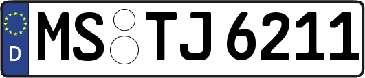 MS-TJ6211