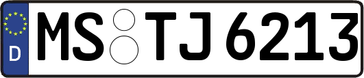 MS-TJ6213