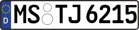 MS-TJ6215