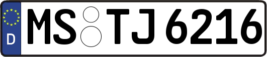 MS-TJ6216