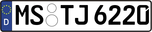 MS-TJ6220