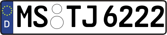 MS-TJ6222