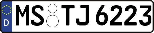 MS-TJ6223