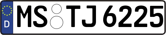 MS-TJ6225