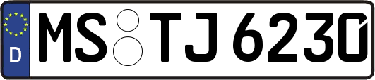 MS-TJ6230