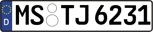 MS-TJ6231