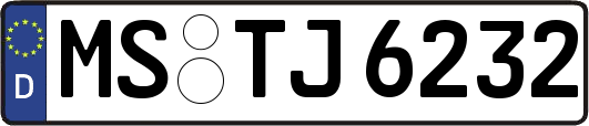 MS-TJ6232