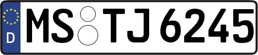 MS-TJ6245