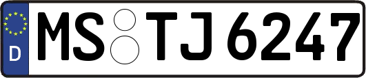 MS-TJ6247
