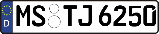 MS-TJ6250
