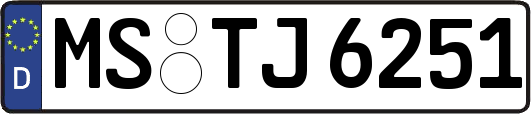 MS-TJ6251