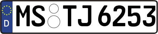 MS-TJ6253