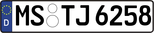 MS-TJ6258