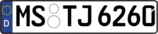 MS-TJ6260