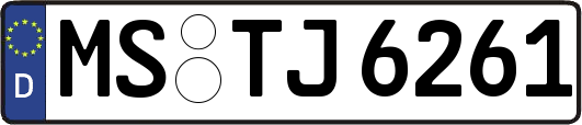 MS-TJ6261