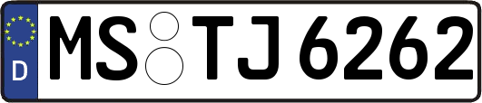 MS-TJ6262