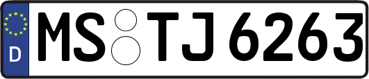 MS-TJ6263