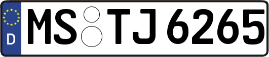 MS-TJ6265