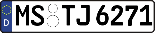 MS-TJ6271